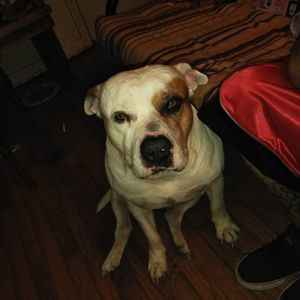 Meet your Posher, Aaron